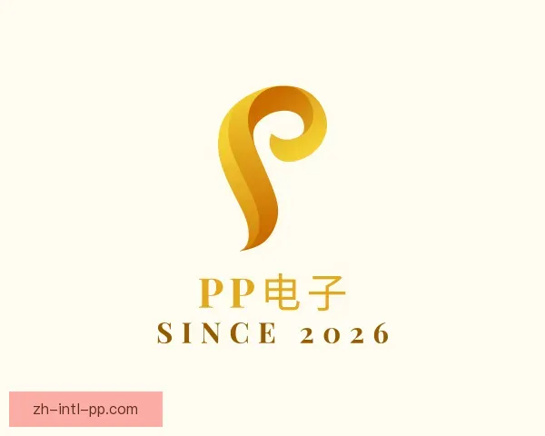 认识PP电子